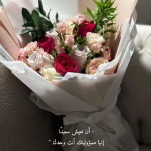 Safia mohammed 