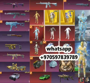Pubg Accounts and Characters for Sale in Tulkarm