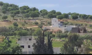 Farm Land for Sale in Zarqa Al-Alouk