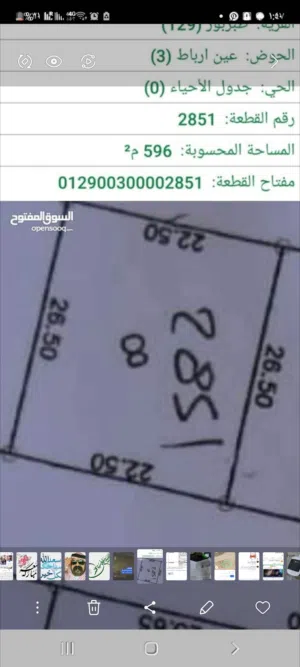 ارض للبيع عين رباط