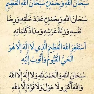 ابويوسف 