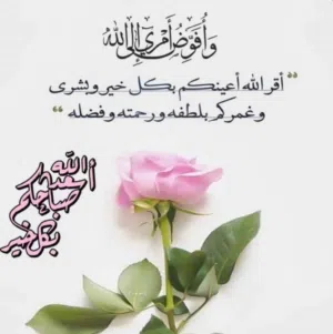 سكن.        مميز