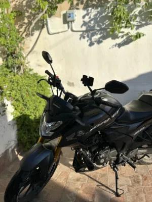 هوندا هورنت (honda hornet )