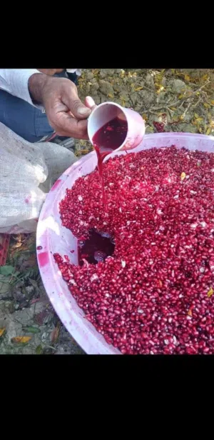 دبس رمان بلدي زعروري حامض للبيع