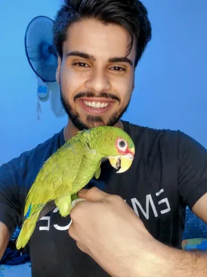 زين باروتس 