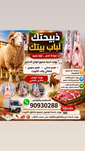 للبيع جميع انواع الذبايح