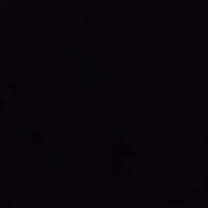 فيصل المجيني 
