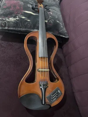 Electric German violin ( hofner)