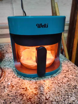 ايرفراير well's