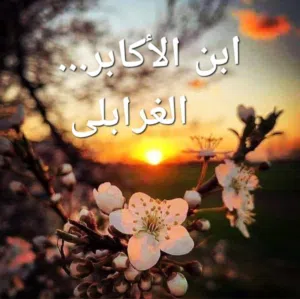 محمود الغرابلي 