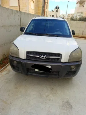 سليمان-النجار