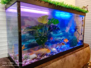 حوض سمك مميز