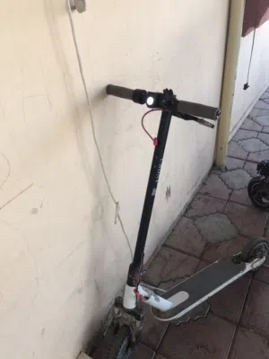 القاسم محمد