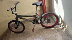 Bmx street stunting cycle