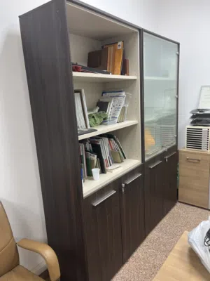 2 door cabinet