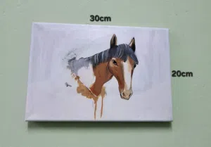 لوحة رسم حصان بمقاس 20cm×30cm   سعر قابل للتفاوت