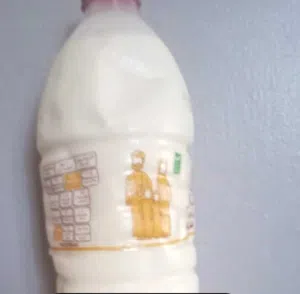 حليب بقر عماني طازج
