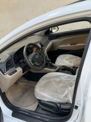 النتراخليجي