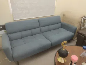 Sofabed for your living room