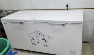 ثلاجه ارضيه بابين