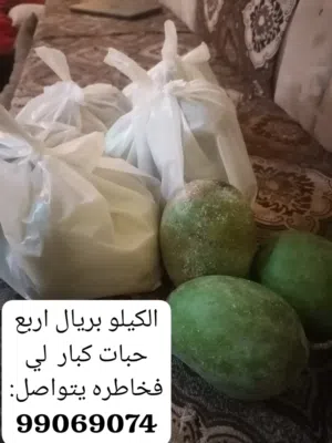 للبيع حدال كبير دودو