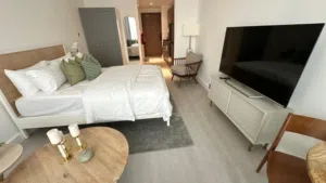 FULLY FURNISHED SPACIOUS STUDIO VACANT