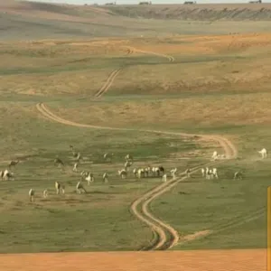 بيع وشراء 