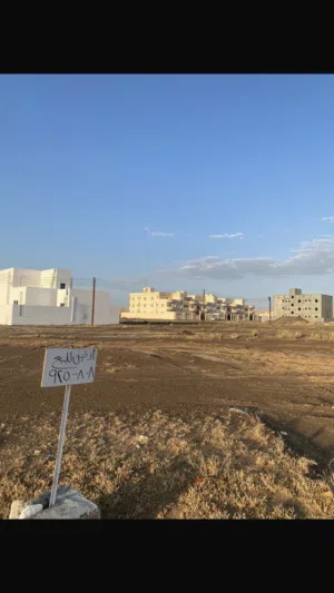Residential Land for Sale in Buraimi Other