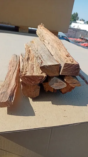 Camping . New1