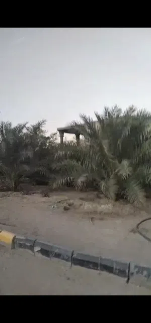 مزرعه 2دونم في منطقه الشعيبه قرب محطه القطار