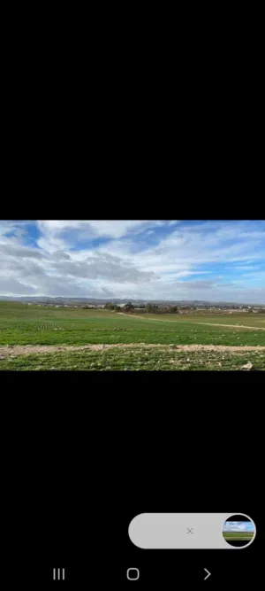 Farm Land for Sale in Irbid Other