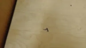 مكتب جيد  مستعمل