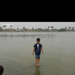 انور