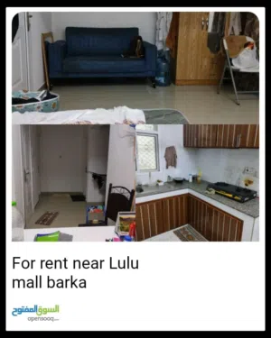 for family and ladies bachelor's