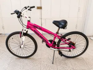 Mustang RS24 Youth Mountain Bike Used