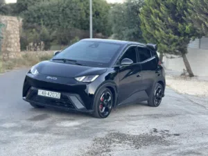Used BYD Seagull in Amman