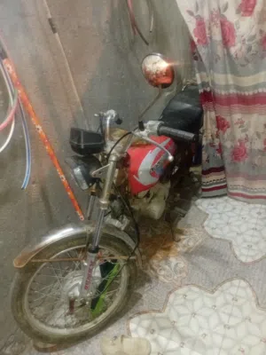 ارشا-2014-رقم-أبيض