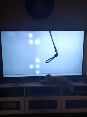 شاشه تلفاز مستعمل للبيع