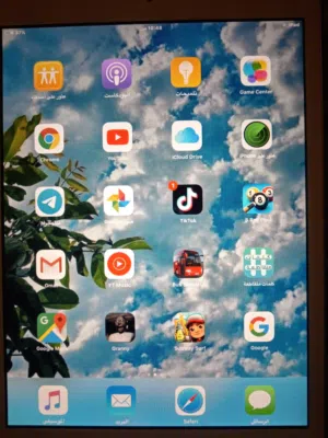 ايباد مني كلشي مابي مايجي ويا لا شاحنه ولاكارتون