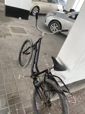سيكل فراشه