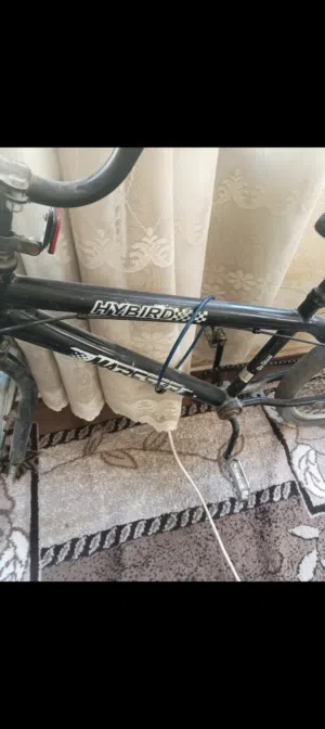 بسكليت نمره 16 حاله جيده جدا في اربد