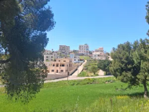 Residential Land for Sale in Salt Shafa Al-Amriya