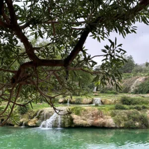 ابو خالد 