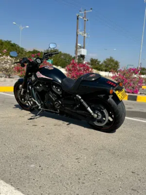 للبيع فقط.    Harlly dividsion night rod 1250cc