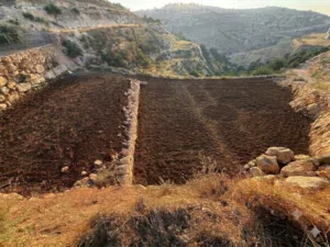 Residential Land for Sale in Hebron Dura