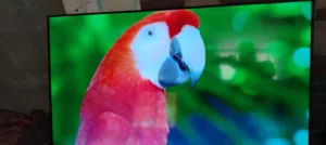 شاشه هاينسز 65 سمارت