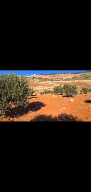 Farm Land for Sale in Jerash Unaybah