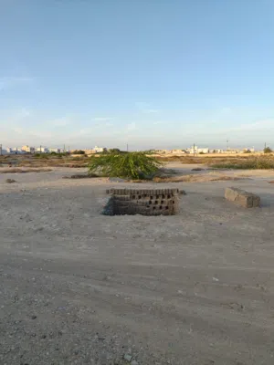 أرض زراعية للبيع – المصنعة / عبالي الساحل - تصريح حفر بئر