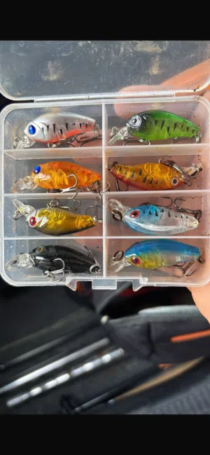 كرنكات كاستنق