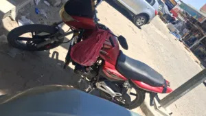 فيكون 2023